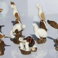 Pajaros grandes de tagua